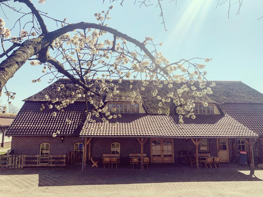 Vooraanzicht van De Boldiek met bloesemboom in het voorjaar